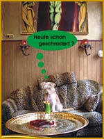 Heute schon geschradert?